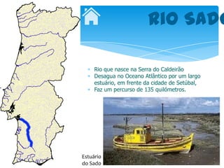 Rio Sado

     Rio que nasce na Serra do Caldeirão
     Desagua no Oceano Atlântico por um largo
     estuário, em frente da cidade de Setúbal,
     Faz um percurso de 135 quilómetros.




Estuário
do Sado
 
