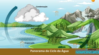 Panorama do Ciclo da Água
Evaporação
Precipitação
Condensação
Escoamento
Infiltraçã
o
Sublimação
Transpiração
 