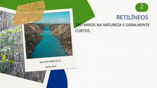 2
SÃO RAROS NA NATUREZA E GERALMENTE
CURTOS.
RETILÍNEOS
RIO SÃO FRANCISCO
RETILÍNEO
 