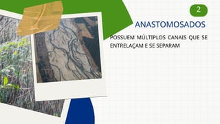 2
POSSUEM MÚLTIPLOS CANAIS QUE SE
ENTRELAÇAM E SE SEPARAM
ANASTOMOSADOS
 