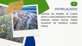 2
COMUNS EM REGIÕES DE CLIMAS
SECOS E CARACTERIZADOS POR SEREM
GRANDES CANAIS ÚNICOS, PORÉM
DIVIDIDOS EM DIVERSOS CURSOS
D'ÁGUA.
ENTRELAÇADOS
 