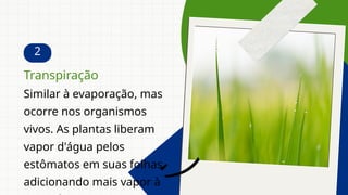 2
Similar à evaporação, mas
ocorre nos organismos
vivos. As plantas liberam
vapor d'água pelos
estômatos em suas folhas,
adicionando mais vapor à
Transpiração
 