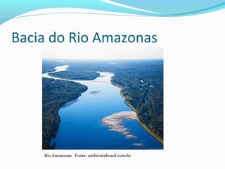 Bacia do Rio Amazonas
Rio Amazonas. Fonte: ambientebrasil.com.br
 