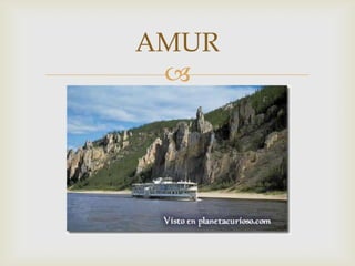 AMUR
 
 