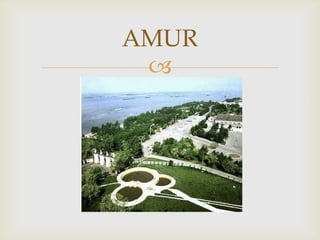 AMUR
 
 