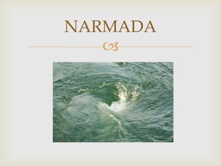 NARMADA
   
 