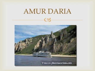 AMUR DARIA
    
 