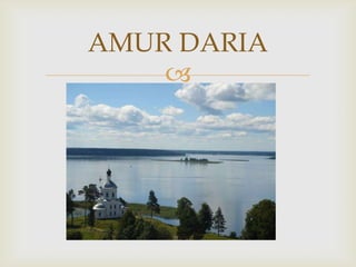 AMUR DARIA
    
 