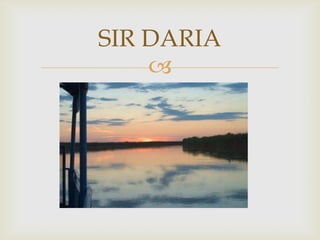 SIR DARIA
    
 