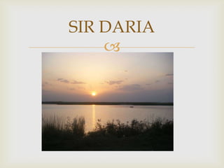 SIR DARIA
    
 