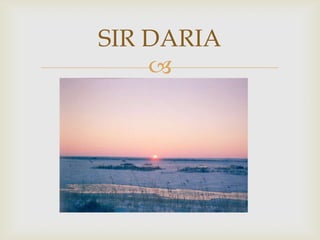 SIR DARIA
    
 