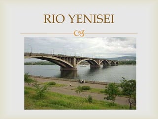 RIO YENISEI
     
 