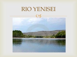 RIO YENISEI
     
 