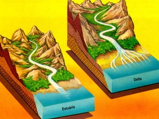 Estuário
Delta
 