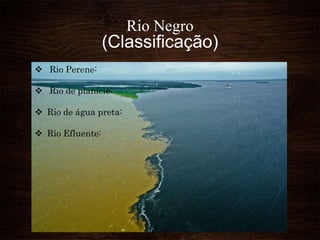 Rio Negro
(Classificação)
 Rio Perene:
 Rio de planície:
 Rio de água preta:
 Rio Efluente:
 