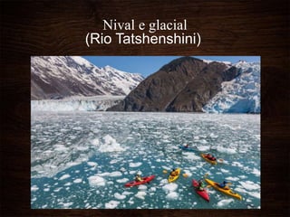 Nival e glacial
(Rio Tatshenshini)
 