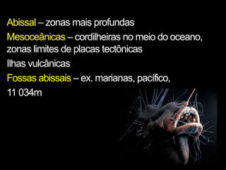 Abissal – zonas mais profundas
Mesoceânicas – cordilheiras no meio do oceano,
zonas limites de placas tectônicas
Ilhas vulcânicas
Fossas abissais – ex. marianas, pacífico,
11 034m
 