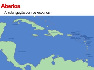 Abertos
• Ampla ligação com os oceanos
 