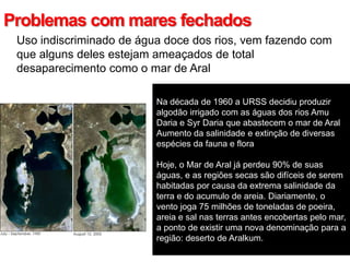 Problemas com mares fechados
• Uso indiscriminado de água doce dos rios, vem fazendo com
que alguns deles estejam ameaçados de total
desaparecimento como o mar de Aral
Na década de 1960 a URSS decidiu produzir
algodão irrigado com as águas dos rios Amu
Daria e Syr Daria que abastecem o mar de Aral
Aumento da salinidade e extinção de diversas
espécies da fauna e flora
Hoje, o Mar de Aral já perdeu 90% de suas
águas, e as regiões secas são difíceis de serem
habitadas por causa da extrema salinidade da
terra e do acumulo de areia. Diariamente, o
vento joga 75 milhões de toneladas de poeira,
areia e sal nas terras antes encobertas pelo mar,
a ponto de existir uma nova denominação para a
região: deserto de Aralkum.
 