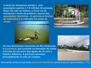 Um dos fenômenos marcantes do Rio Amazonas é a  pororoca , que consiste na formação de ondas oriundas do encontro das águas do rio com o Oceano Atlântico. A pororoca acontece principalmente no mês de outubro .   Apresenta ainda um grande  potencial hidrelétrico  porém pouco aproveitado (- 1%)  A bacia do Amazonas atende a  uma população superior a 7,6 milhões de pessoas. Seus rios são na maioria, a única via de transporte e fonte de proteína ( pesca) das  populações ribeirinhas  . A  agricultura familiar de subsistência  é cultivada nas áreas de  várzea  