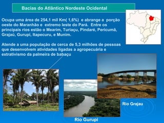 Ocupa uma área de 254,1 mil Km( 1,6%)  e abrange a  porção oeste do Maranhão e  extremo leste do Pará.   Entre os principais rios estão o Mearim, Turiaçu, Pindaré, Pericumã, Grajaú, Gurupi, Itapecuru, e Munim. Atende a uma população de cerca de 5,3 milhões de pessoas que desenvolvem atividades ligadas a agropecuária e extrativismo da palmeira de babaçu                                  Bacias do Atlântico Nordeste Ocidental   Rio Gurupi   Rio Grajau 