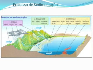 Desembocadura (Foz) – Estuário e Delta