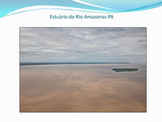 Encontro entre os rios Negro e Solimões -AMPorto de ManausMargem do Rio Negro em Manaus
