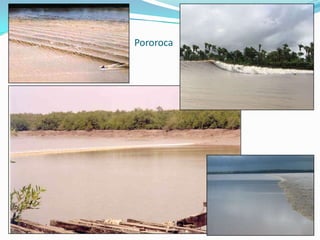 Rio Negro em Manaus-AM