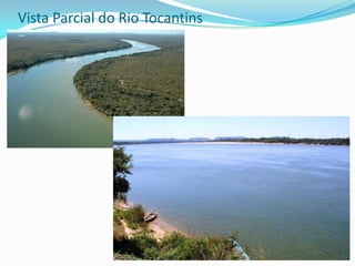 Fenômeno da Pororoca