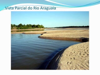 Bacia Amazônica - Elementos