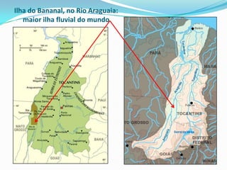 Drenagem e Degraus da Vegetação Amazônica