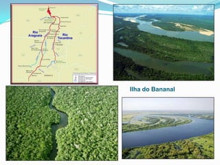 Caracterização das Bacias Hidrográficas: Tocantins-AraguaiaÉ a maior bacia totalmente brasileira e a terceira em potencial hidroelétrico, após a Amazônica e a do Paraná. Possui a segunda maior usina totalmente brasileira, Tucuruí, situada no curso inferior do rio Tocantins (PA), que abastece com energia os grandes projetos minerais da Amazônia (Carajás, Albrás, etc.).