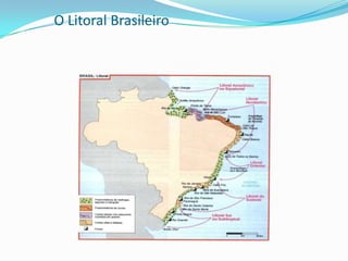 Aquíferos: são reservatórios subterrâneos localizados a centenas de metros de profundidade e que apresentam enorme volume de água. A maioria ainda não está contaminada.Lençol D’água