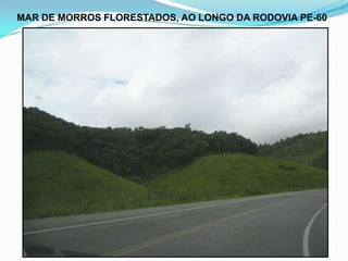 COSTA SETENTRIONAL (LITORAIS BAIXOS, DUNAS E FALÉSIAS)