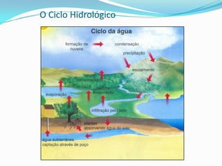 O Ciclo Hidrológico
