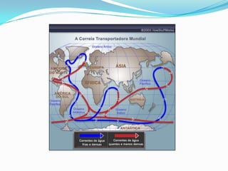 MOVIMENTOS DAS ÁGUAS DOS MARES (CORRENTES) – na América
