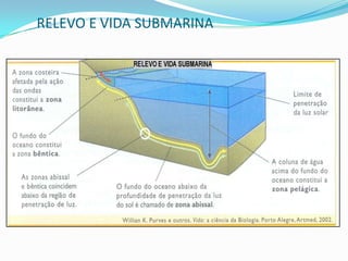 RELEVO SUBMARINO - Representação