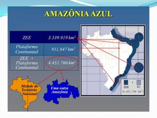 A AMAZÔNIA AZUL