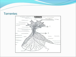 Torrentes
 