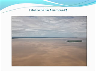 Estuário do Rio Amazonas-PA
 