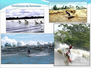 Fenômeno da Pororoca
 