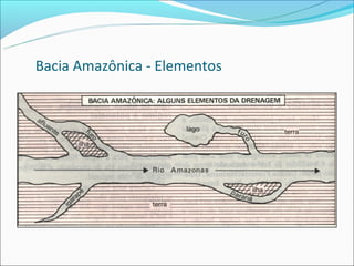 Bacia Amazônica - Elementos
 