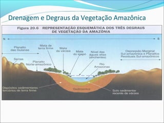 Drenagem e Degraus da Vegetação Amazônica
 