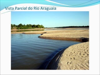 Vista Parcial do Rio Araguaia
 