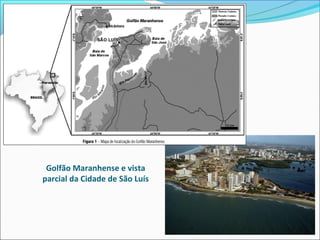 Golfão Maranhense e vista
parcial da Cidade de São Luís
 