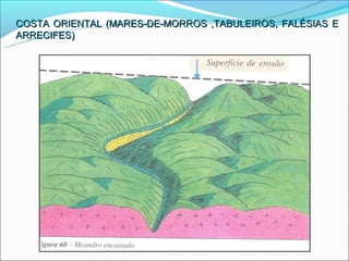 COSTA ORIENTAL (MARES-DE-MORROS ,TABULEIROS, FALÉSIAS E
ARRECIFES)
 