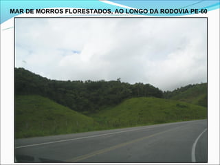 MAR DE MORROS FLORESTADOS, AO LONGO DA RODOVIA PE-60
 