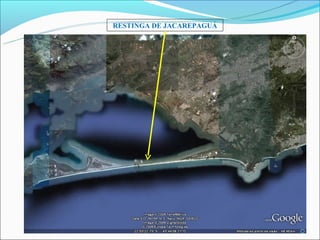 RESTINGA DE JACAREPAGUÁ
 