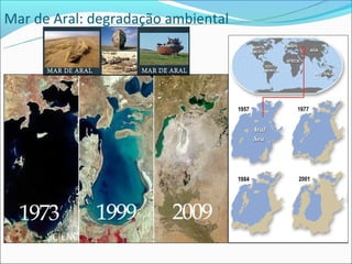 Mar de Aral: degradação ambiental
 