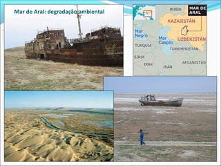 Mar de Aral: degradação ambiental
 
